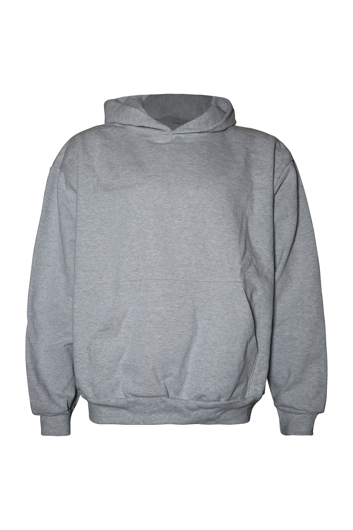 UNISEX HOODIE (GRAY)